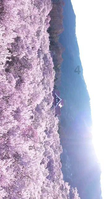 逃出恶魔塔